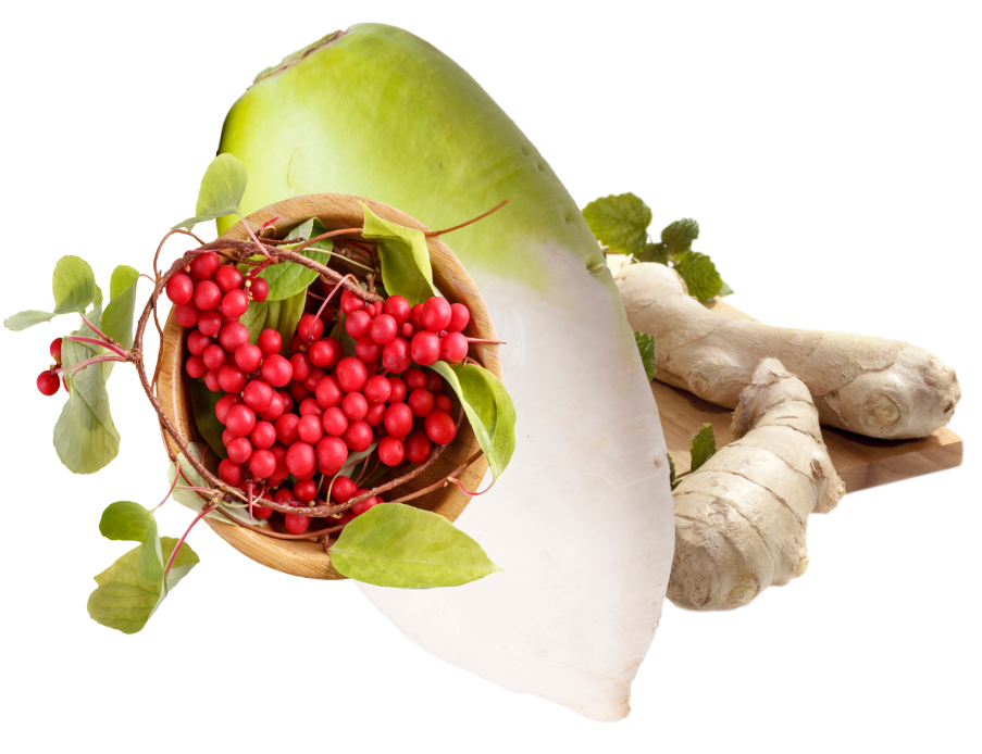 오미자 무 생강 암에 좋은 음식들