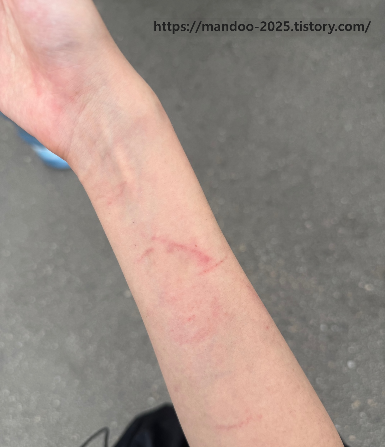 쿠팡소분알바 여자