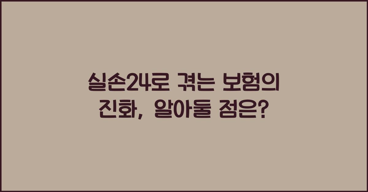 실손24