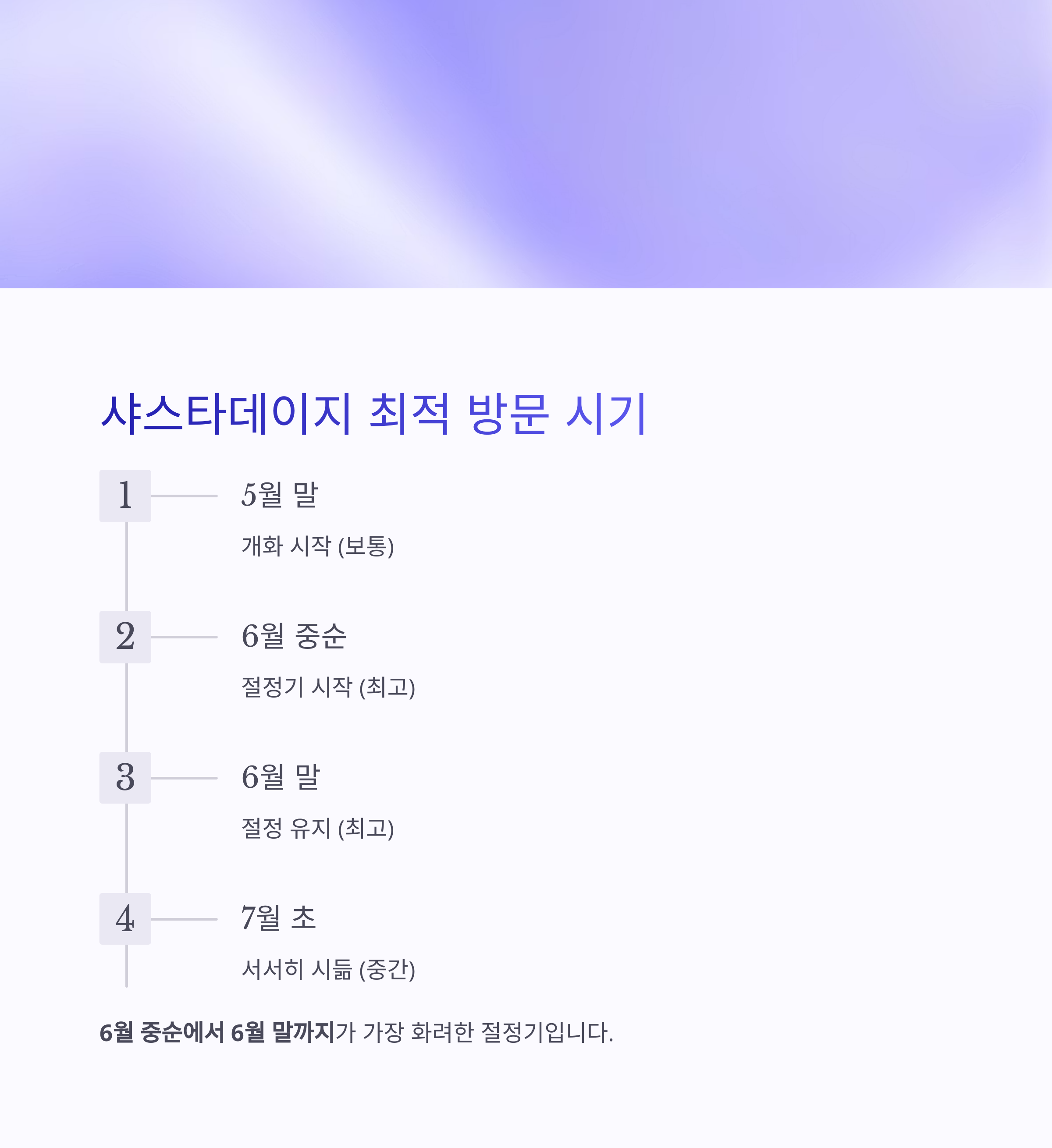 샤스타데이지 개화시기 안내 타임라인, 5월 말부터 7월 초까지 절정 정보 제공