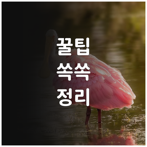 2025 가축전염병 농가 회복 지원 ..