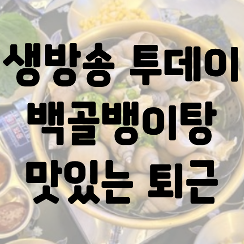 생방송 투데이 백골뱅이탕 맛있는 퇴근