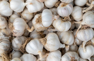 마늘