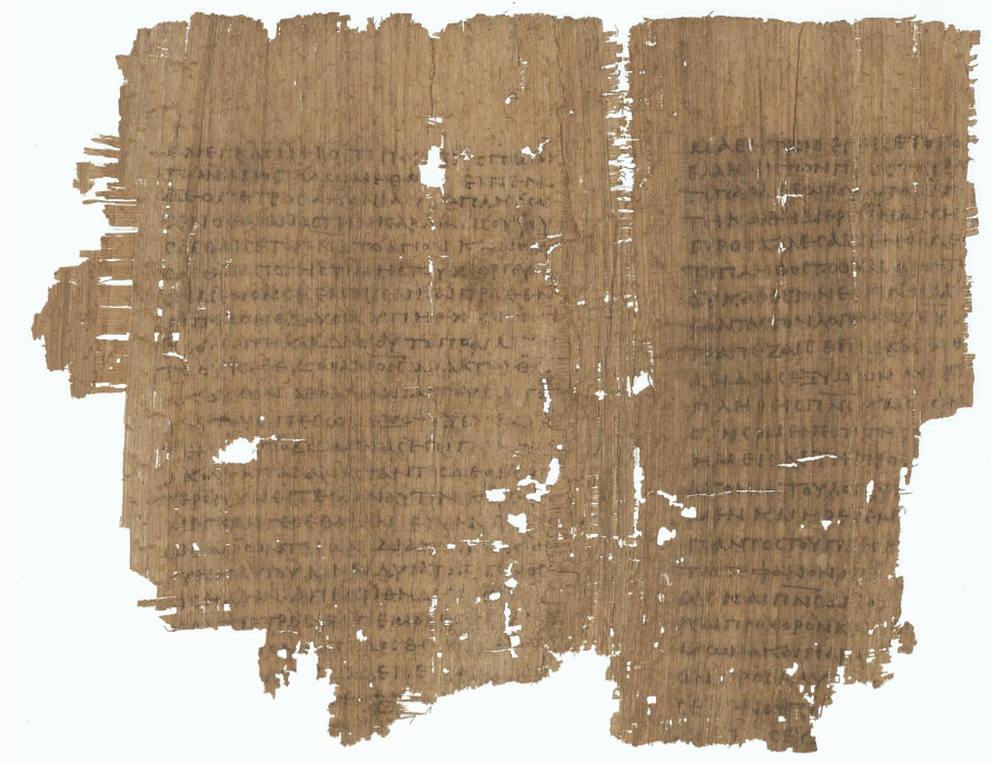 사본 비교 방법론: 변이의 분류