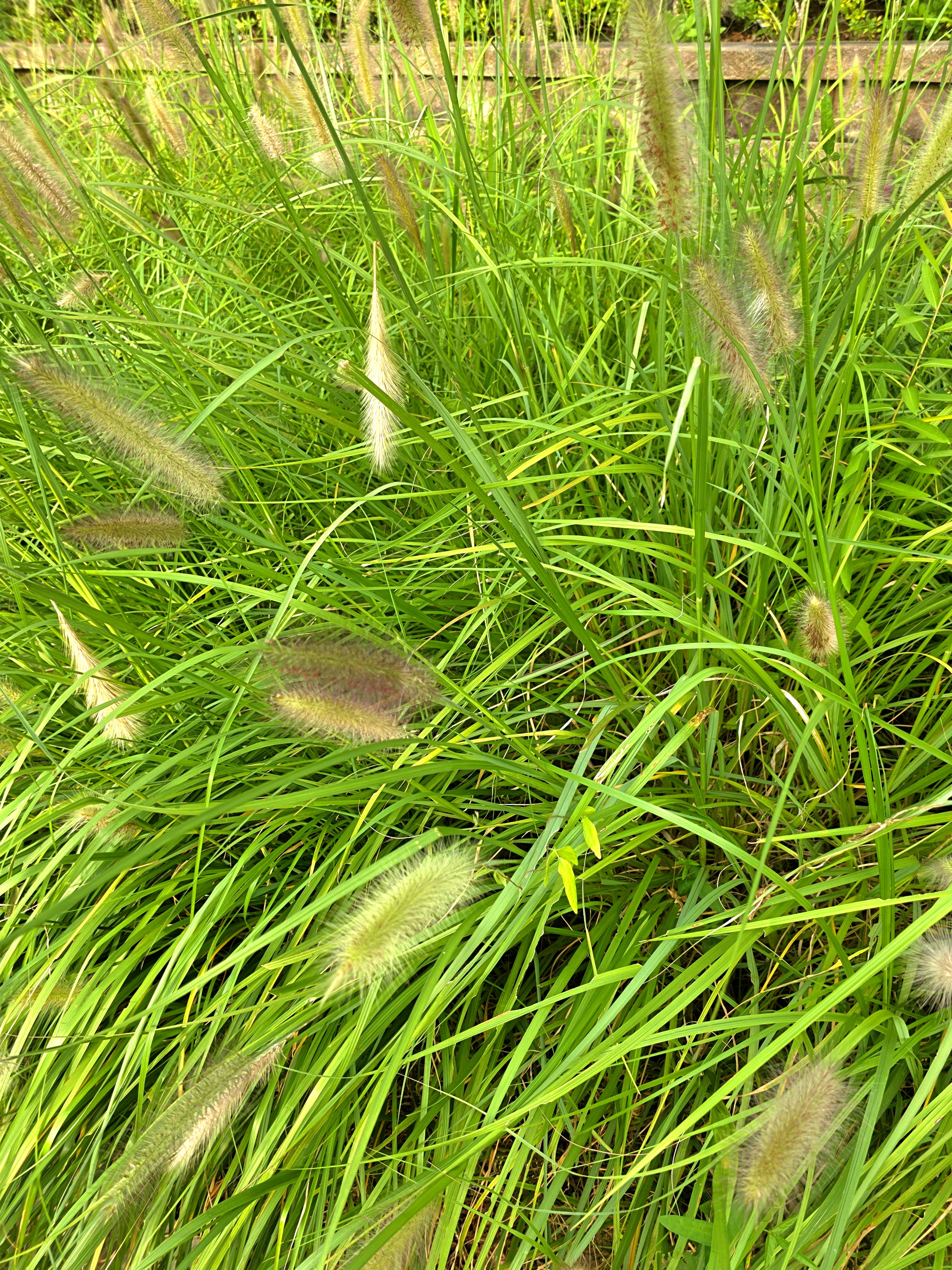 호수공원-뷰-술집에-갔어요.