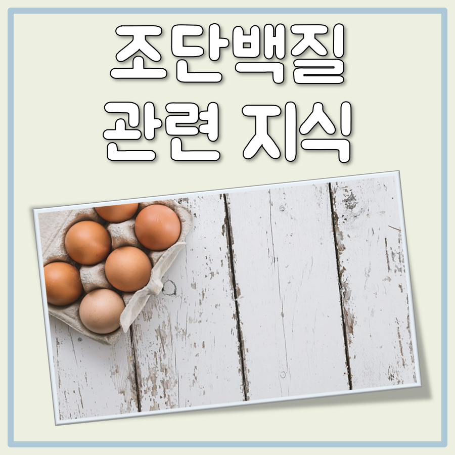 조단백질 함량 계산 방법 분석 방법 대표 이미지