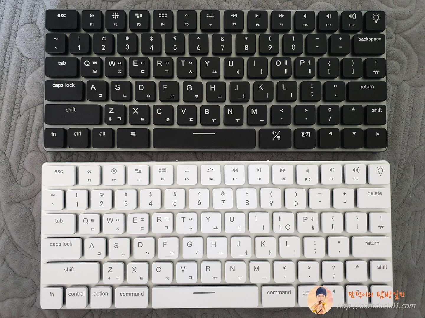 스페이스 그레이와 화이트 탭텍 비교 1