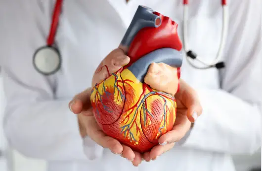 부정맥 원인 및 증상&amp;#44; 치료방법