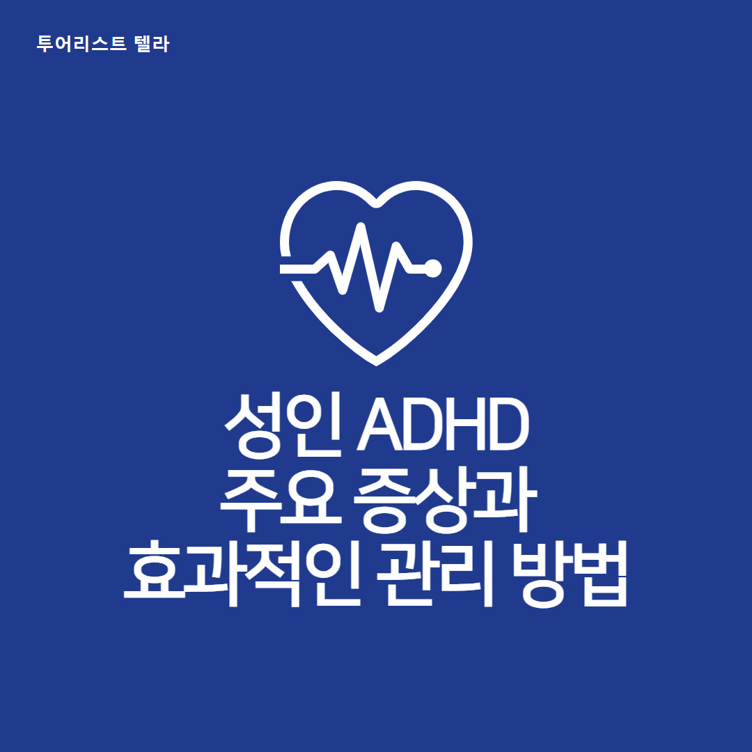 성인 ADHD: 주요 증상과 효과적인 관리 방법