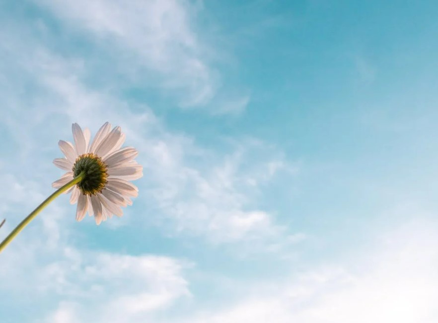 2025 청년희망적금 신청 방법 총정리