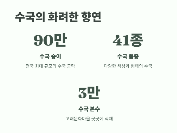 장생포 수국축제 최신 정보 4