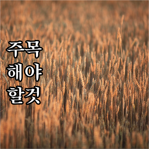 대구 달성군 2025 친환경 농업 직..
