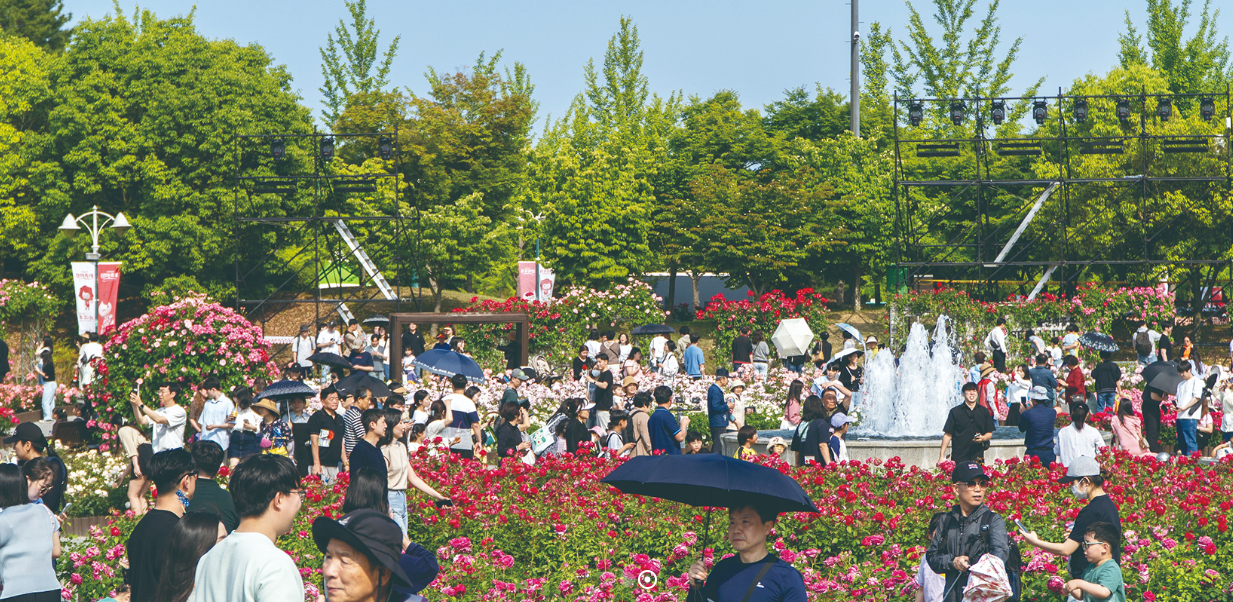 2025 울산대공원 장미축제