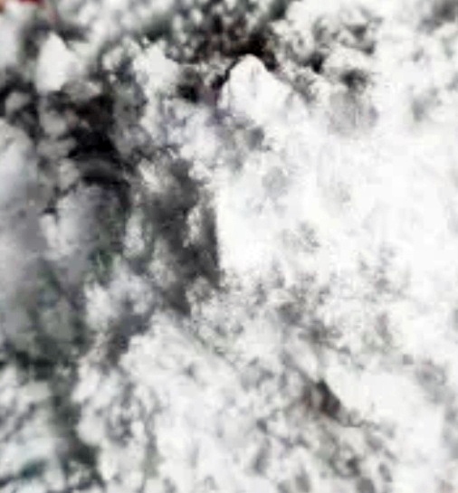 개미없애는 퇴치방법