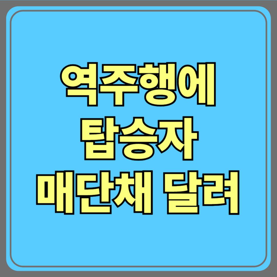 일방통행 도로 역주행에 탑승자 매단 채 달려…살인 혐의로 구속영장 신청