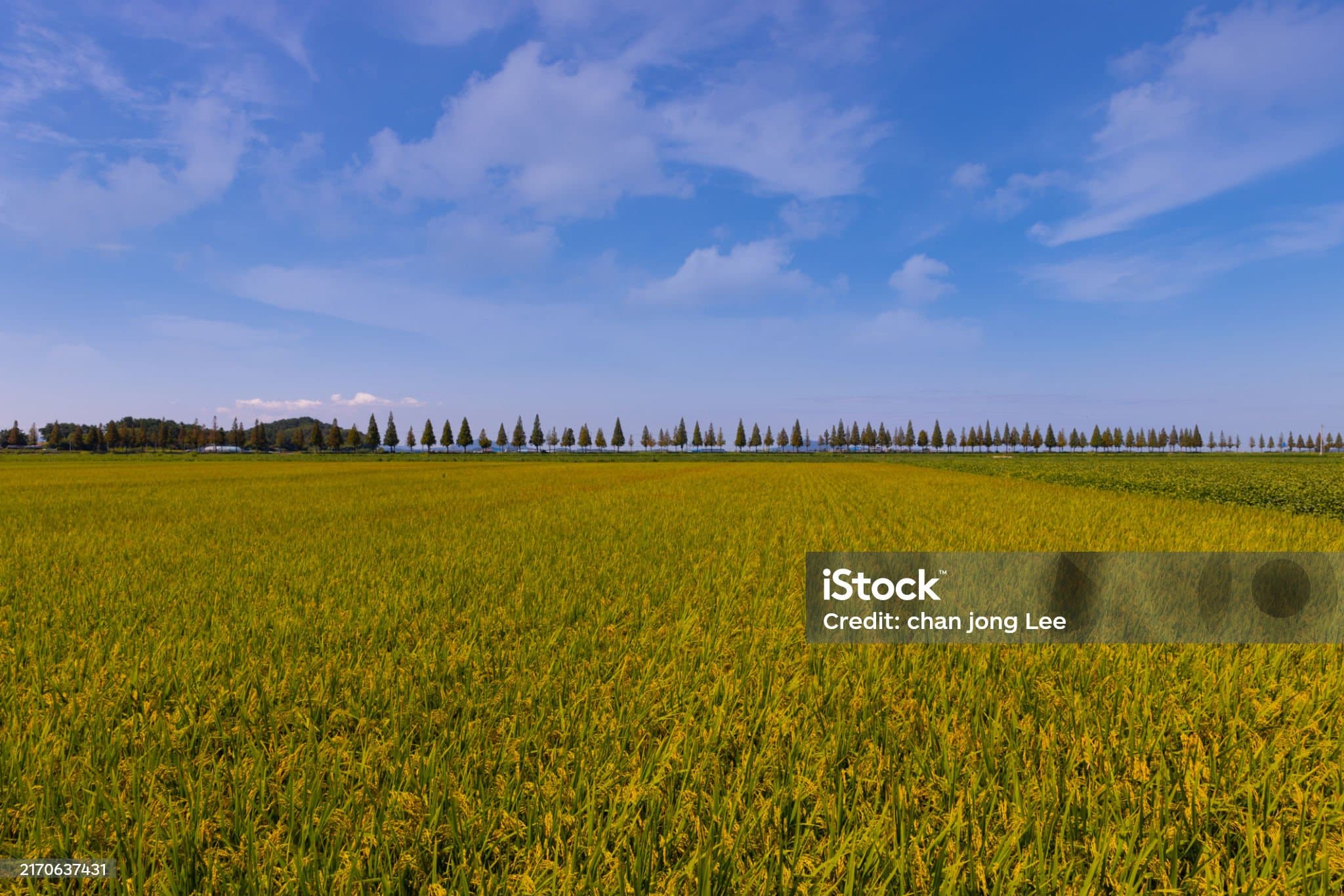 전북 여행 - 김제