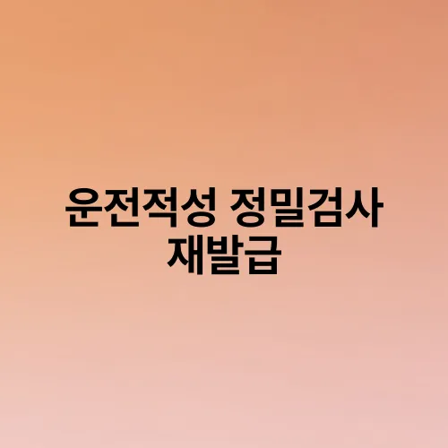 운전적성 정밀검사 재발급