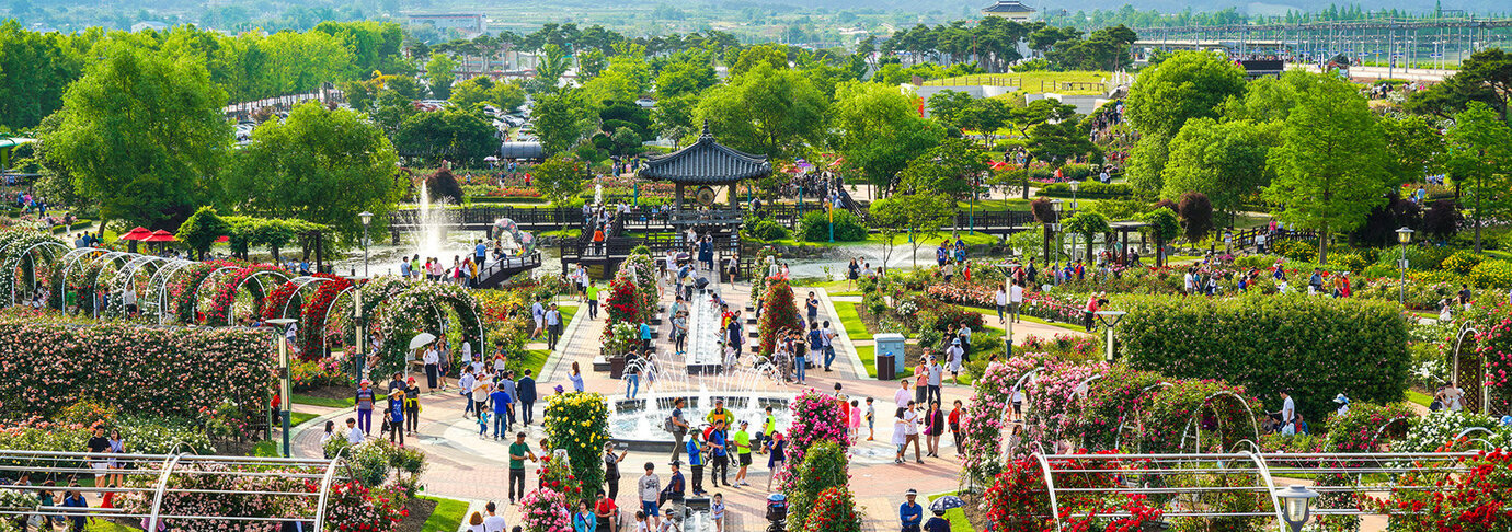 곡성 세계 장미 축제
