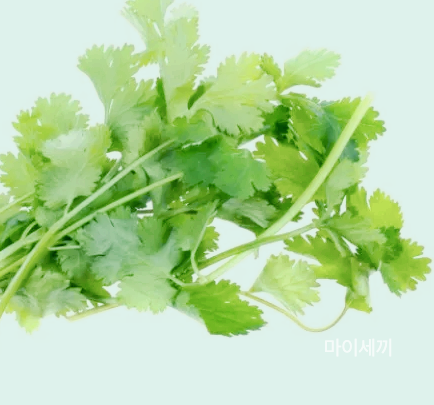 우울증 불면증 개선