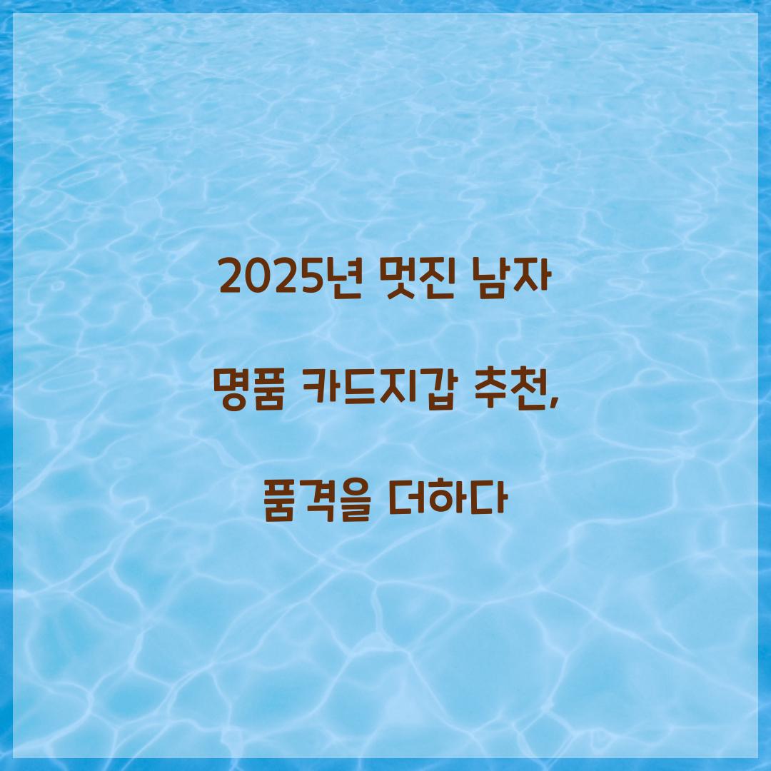 명품 카드지갑 추천