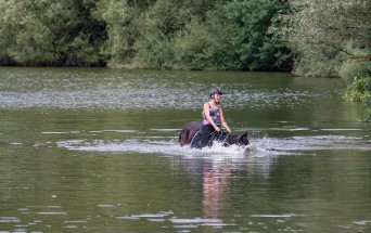 물놀이 안전이 생명! 여름 수상안전 정책 한눈에 보기