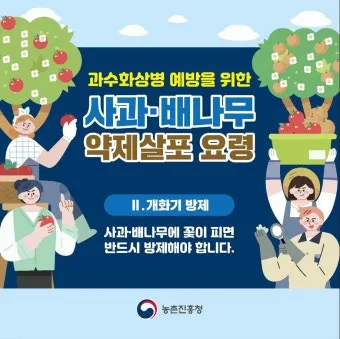 서리 발생 시기 농작물 보온 비닐 덮기 텃밭 관리_4