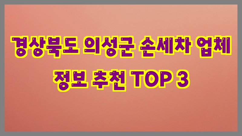 경상북도 의성군 손세차