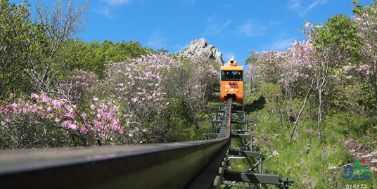 함양 대봉산 모노레일 후기: 가족&amp;#44; 커플 여행자에게 추천하는 이유