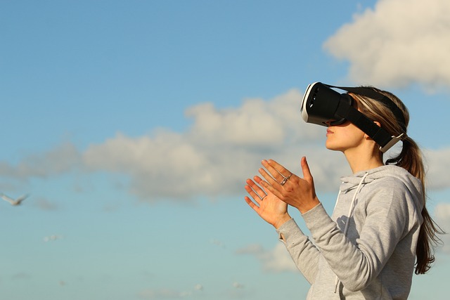 가상현실(VR) 개발자, 미래 기술 선도 전문가, 도전 과제