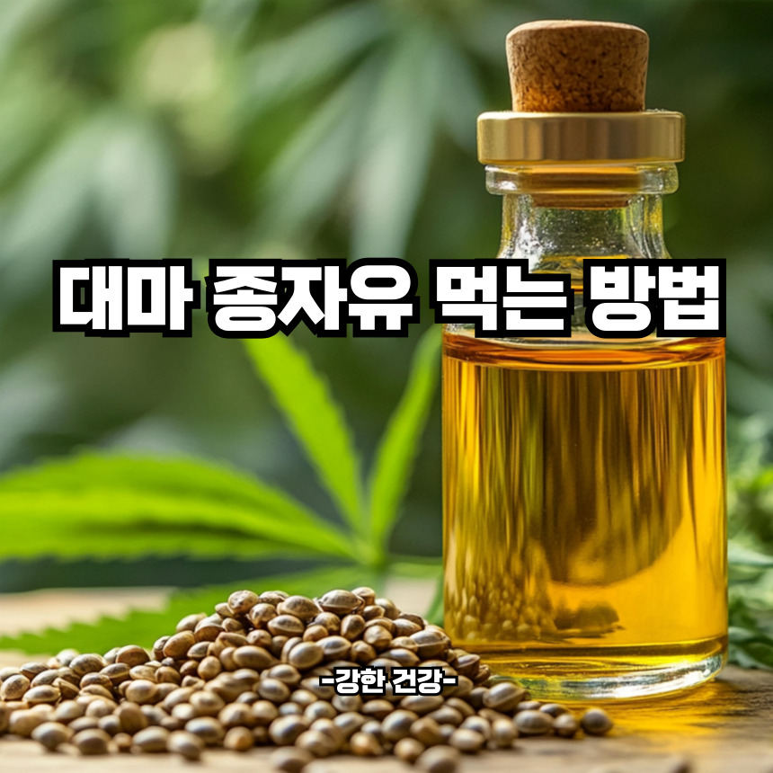 대마 종자유 먹는 방법