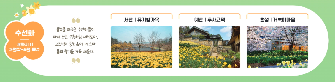 충남-아산-봄꽃-축제