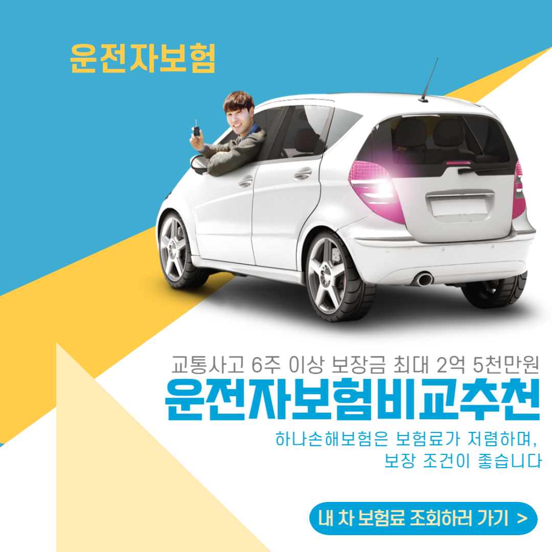 운전자보험