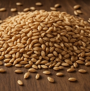 파로 곡물 효능