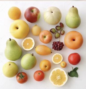 모듬 과일
