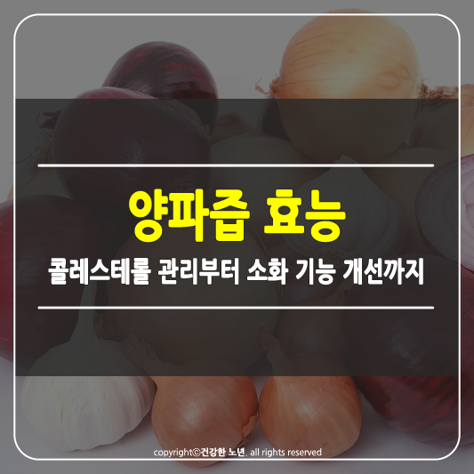 양파즙 효능