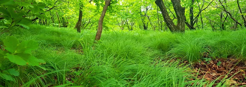밀양 운문산