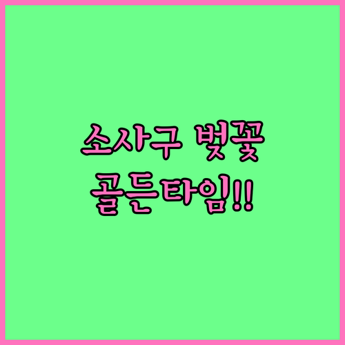 2026 부천 소사구 벚꽃 나들이 골..