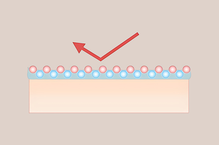 피부-장벽-강화