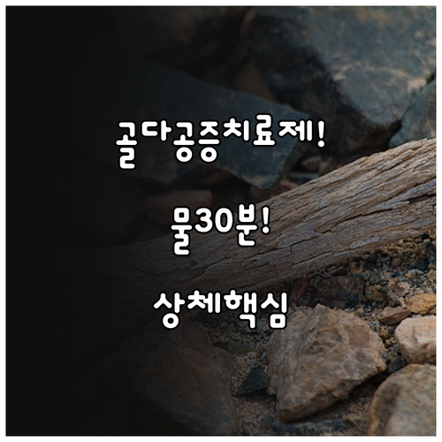 골다공증 치료제 물과 함께 30분 상..