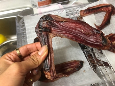 강아지 오리날개 간식 사진