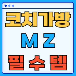 코치 가방