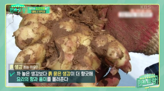 흙생강-이미지