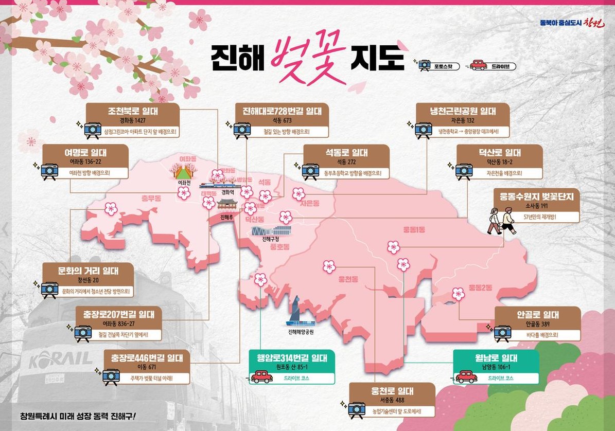 2025 진해 군항제 진해 벚꽃축제 일정, 주차정보, 숙박정보