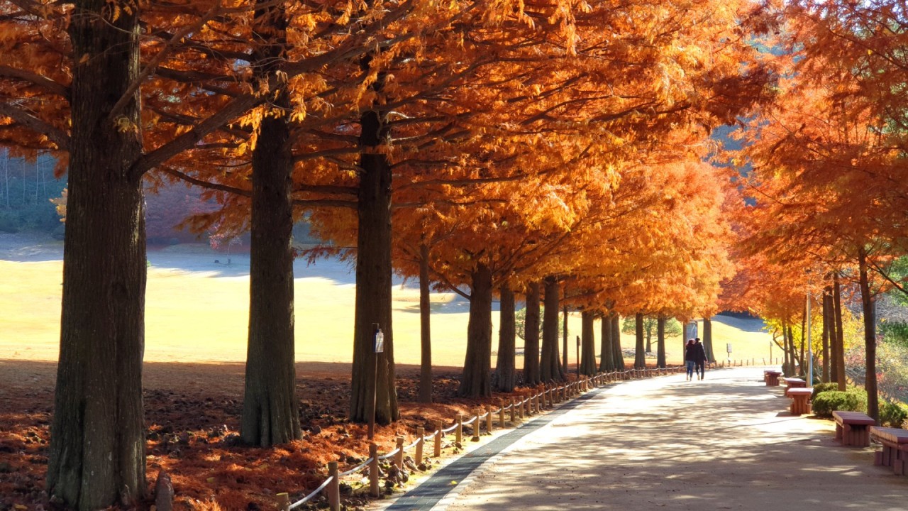 2025년 추석연휴 충청북도 여행지 BEST 5