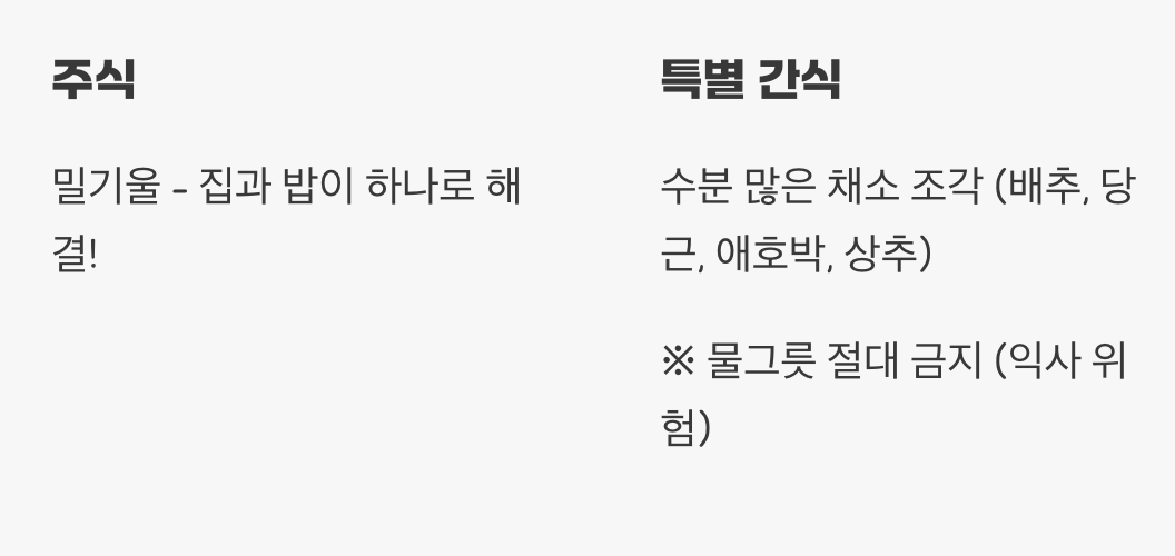 단 하나의 메뉴, 그리고 특별 간식