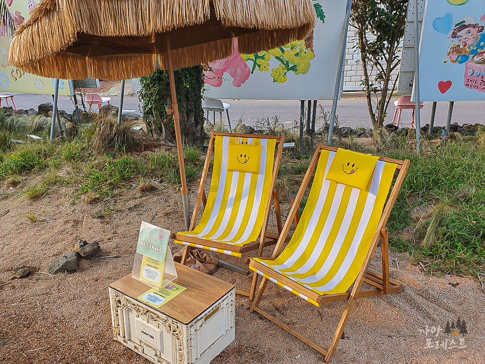 제주 카페 노티드 포토존