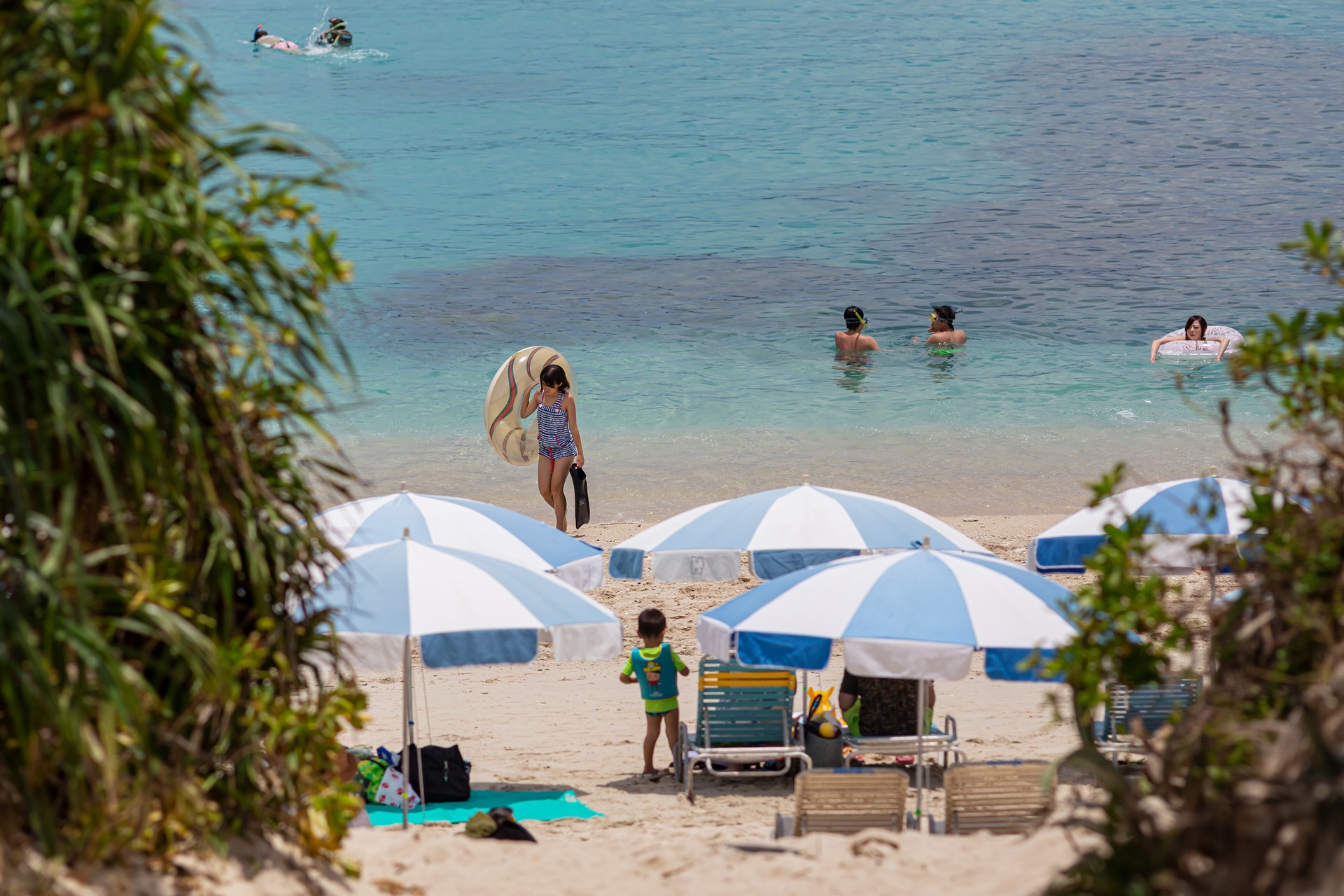 #게라마제도 #미슐랭그린가이드 #오키나와 #오키나와바다 #오키나와여행 #오키나와해변 #자마미섬 #후루자마미 #후루자마미비치 #후루자마미해변