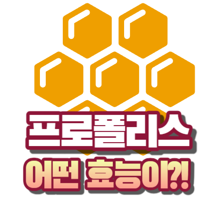 프로폴리스 효능
