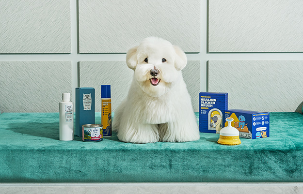 펫캉스 가능한 호텔 BEST 5