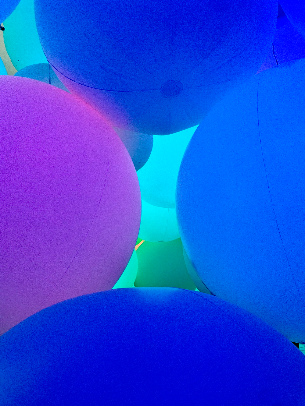 일본 도쿄 팀랩플래닛 관람여행